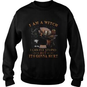 Black Cat I Am A Witch I Can Fix Stupid But Its Gonna Hurt Shirt